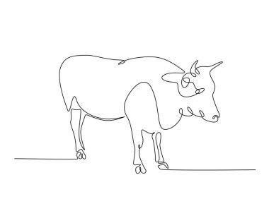 İnek ya da bufalo tek bir tasvir. Çiftçilik konsepti için sürekli inek çizimi. Düzenlenebilir vuruş.