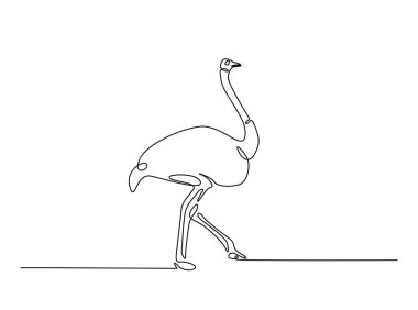 Devekuşu kuşu tasviri. Devamlı Afrika devekuşu çizimi çizimi. Düzenlenebilir vuruş.