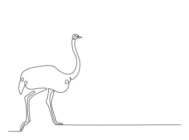 Devekuşu kuşu tasviri. Devamlı Afrika devekuşu çizimi çizimi. Düzenlenebilir vuruş.