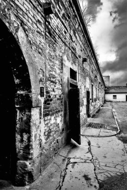 Eski bir binanın mimarisini gösteren, kapısı açık, yıpranmış tuğladan bir duvar. Sahne siyah beyaz, dokuları ve gölgeleri vurguluyor..