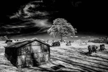 Bulutlu bir gökyüzünün altında mezar taşlarının ve yapayalnız bir ağacın olduğu sakin, siyah beyaz bir mezarlık sahnesi. Atmosfer sakin ve yansıtıcı. Anılar ve barışı çağrıştırıyor..