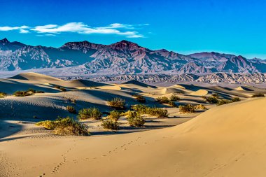 Kayan kum tepecikleri, seyrek bitki örtüsü ve açık mavi gökyüzünün altındaki uzak dağlardan oluşan çarpıcı bir çöl manzarası. Sahne, doğanın zıtlıklarının güzelliğini yakalar..
