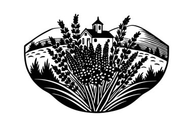 Lavanta çiçekleri demetinin vektör çizimi, Fransız kırsal temasını çağrıştırıyor..