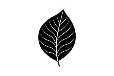 Basit, el yapımı yaprak koleksiyonu, çeşitli tasarım projeleri için ideal. Temiz çizgiler ve minimalist estetik..