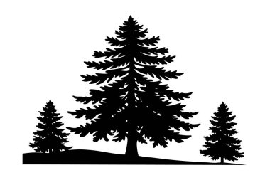 Sisli bir arka planda tek bir çam ağacı silueti tasvir edilir. Tasarım basit, temiz bir estetik kullanıyor..