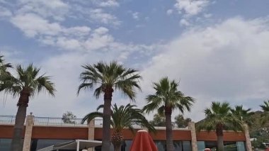 Palmiye ağaçlarının altında güneşli bir açık hava mekanında dinleniyor.