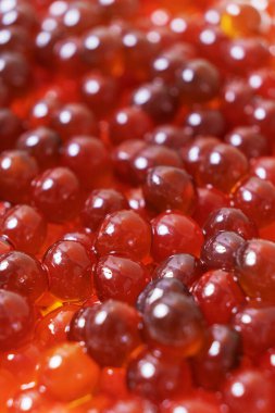 Yakın çekim bir dizi parlak tapyoka incisini yakalar ve tatlı, canlı şuruba batırır. Zengin renkleri onları köpüklü çaya dikkat çekici kılıyor..