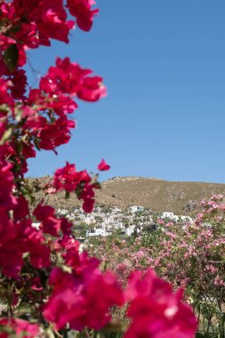 Parlak pembe bougainvillea çiçekleri engebeli arazilerin arasına yerleşmiş büyüleyici bir yamaç köyü sergilerken güzel bir ön plan oluşturur. Açık mavi gökyüzü canlı sahneyi güçlendirir..