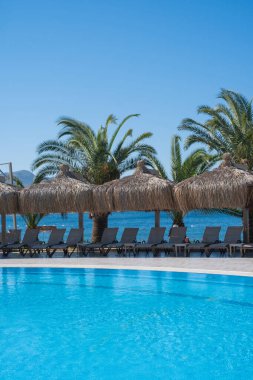Yazın sakin bir tatil köyünde palmiye ağaçları ve sahil kenarındaki şezlonglarla göz kamaştırıcı sahil manzarası.
