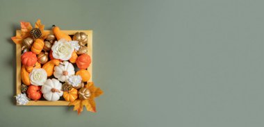 Altın çerçeveli balkabakları, güller ve akçaağaç yaprakları. Kopyalama alanı olan sonbahar pankartı.