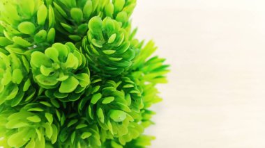 Yapay plastik çimenler solda..