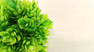 Yapay plastik çimenler parlak ahşap bir masanın üzerinde..