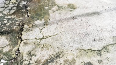 Düzensiz yosunlu çatlamış beton döşeme dokusu ve yakın çekim fotoğrafı..