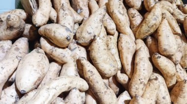 Kahverengi çiğ Cilembu tatlı patatesi, yakın plan fotoğraf..