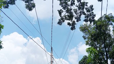 Gün boyunca ağaçların etrafında yüksek voltajlı elektrik hatları.
