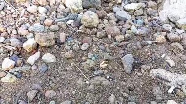 Kaya, toprak ya da çakıl koleksiyonu