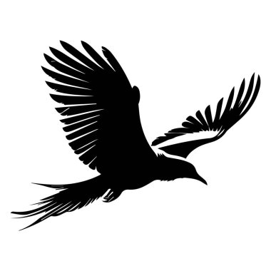 Uçan bir kuşun siyah silueti