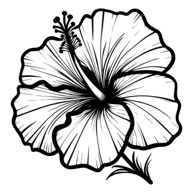 Stylized black and white line art hibiscus flower illustration