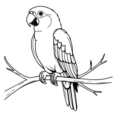 Detailed black and white line drawing of a parrot perched on a branch