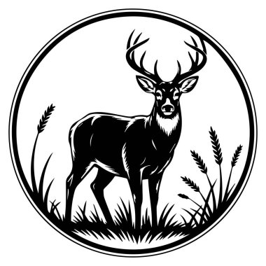 Beyaz arka planda izole edilmiş buğdayla çimlerin üzerinde duran bir geyiğin siyah ve beyaz çizimi..