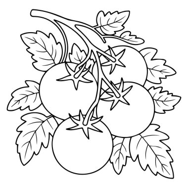 Sarmaşıkta yeşil yapraklı olgun domates kümesinin basit siyah beyaz çizimi