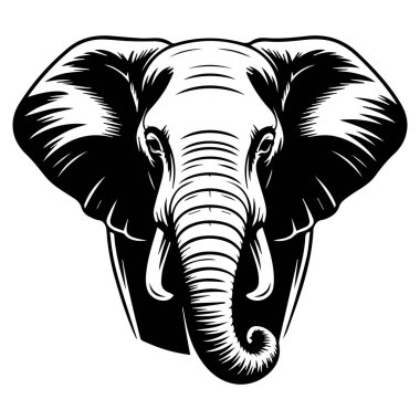 Beyaz arka planda fildişleri ve gövdesi olan bir filin siyah-beyaz çizimi.