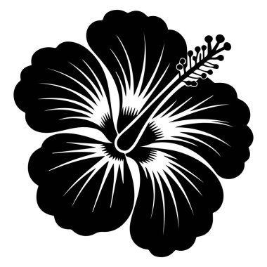 Ayırt edici taç yaprakları ve kekemeliğiyle beyaz arka planda duran siyah bir çiçeğin çarpıcı silüeti.