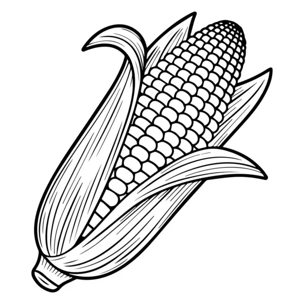 Kabuğu kısmen soyulmuş tek bir mısır kabuğunun, çekirdekleri ortaya çıkaran koyu siyah ve beyaz çizgili bir sanat çizgisi.