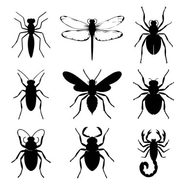 Aralarında böcekler, yusufçuklar, örümcekler ve akreplerin de bulunduğu çeşitli böcek ve eklembacaklıların yer aldığı siluet çizimleri..