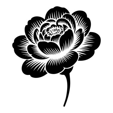 Çiçek açan şakayık çiçeğinin şekillendirilmiş siyah beyaz çizimi