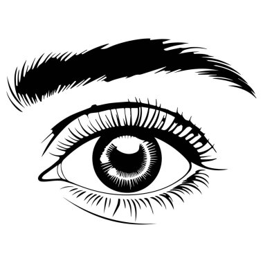 Beyaz arka planda izole edilmiş güzelliği, vizyonu ve kozmetik sanatını temsil eden bir gözün ayrıntılı bir çizimi..