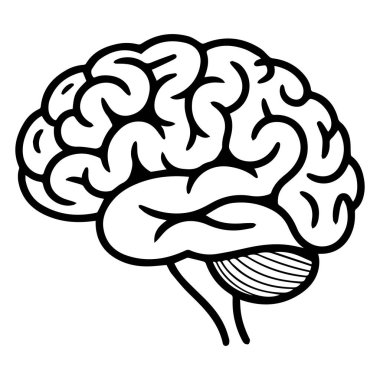 İnsan beyninin, beyaz arka planda izole edilmiş karmaşık anatomisini ve zekadaki rolünü vurgulayan siyah-beyaz bir çizimi. Eğitici veya bilimsel içerik için uygun.