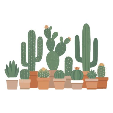 Beyaz arka planda izole edilmiş çeşitli kaktüslerin ve sulu tencerelerin koleksiyonu. Botanik çizimler, minimalist tasarımlar ve dekoratif elementler için mükemmel..