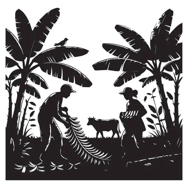 Bu siluet, çiftçilerin yakınlarda otlayan bir inekle muz topladıklarını, kırsal hayatın, tarımın ve doğanın güzelliğini yakaladıklarını gösteriyor..