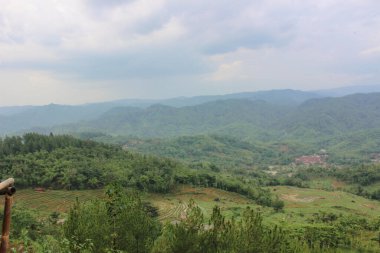 Yeşil tepeleri ve pirinç teraslarını gösteren manzaralı bir manzara bulutlu bir gökyüzü altında, sükuneti ve doğanın güzelliğini yakalıyor.