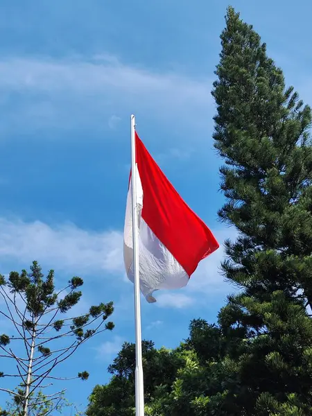 Yeşil Ağaçlarla çevrili Açık Mavi Gökyüzü Arkaplanlı Endonezya Bayrağı