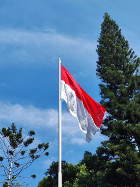 Endonezya bayrağı kırmızı ve beyazdır. Çam ağaçlarının ve mavi gökyüzünün güzel bir arka planı vardır.