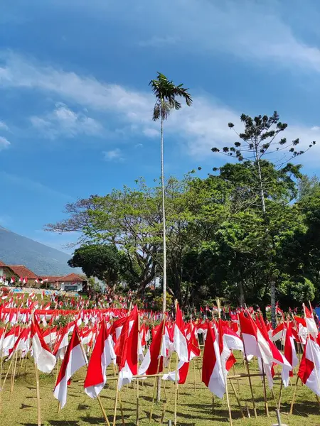 Endonezya Bağımsızlık Günü 'nde düzinelerce Endonezya bayrakları parkı açık bir gökyüzünün altında süslüyor..