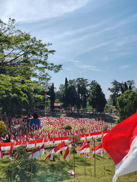 Endonezya Bağımsızlık Günü 'nde düzinelerce Endonezya bayrakları parkı açık bir gökyüzünün altında süslüyor..