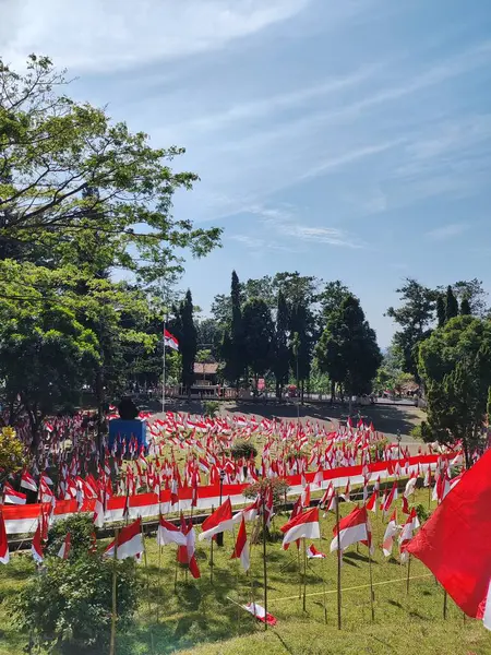 Güzel doğa parkında düzinelerce Endonezya Bayrakları