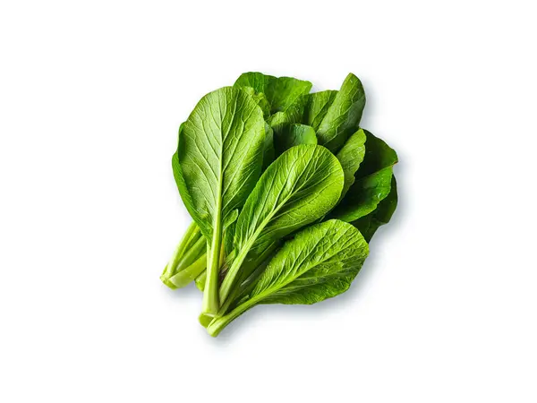 Beyaz zemin üzerinde taze yeşil hardal yeşillikleri (Caisim, Sawi Hijau) izole.