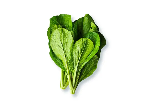 Beyaz zemin üzerinde taze yeşil hardal yeşillikleri (Caisim, Sawi Hijau) izole.