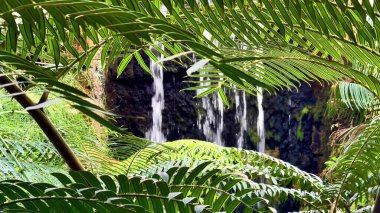 Hava görüntüsü, bereketli bir parktaki sakin bir nehrin üzerindeki köprüyü gösteriyor. Mimarinin harmonisini canlı doğayla vurguluyor.