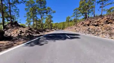 Çam ağaçları ve kayalık arazide güzel bir yol esiyor. Hepsi berrak ve parlak bir mavi gökyüzünün altında.