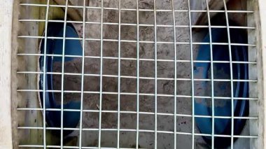 Bu video, metalik arka plana karşı renklerini gösteren iki mavi kâse ile metal bir ızgaranın yakın çekimlerini içeriyor, çarpıcı bir görsel yaratıyor.