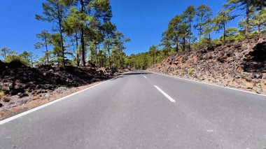 Çam ağaçları ve kayalık arazide güzel bir yol esiyor. Hepsi berrak ve parlak bir mavi gökyüzünün altında.