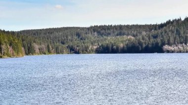 Mavi gökyüzünü yansıtan huzurlu bir göl ve çevresini çevreleyen yeşil ormanlar, doğa severler için mükemmel..