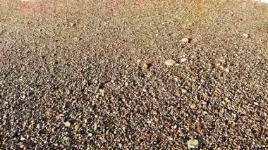 Yumuşak dalgalı sakin bir sahil derin rahatlama ve huzur için mükemmel bir atmosfer yaratır.