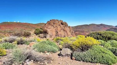Nefes kesici ve çarpıcı bir manzara berrak mavi gökyüzünün altında canlı bitki örtüsüyle süslenmiş kayalık bir arazi.