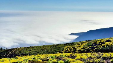Yumuşak kabarık bulutların üzerindeki yemyeşil ve canlı çiçeklerin nefes kesici manzarasına dikkatle bakın.